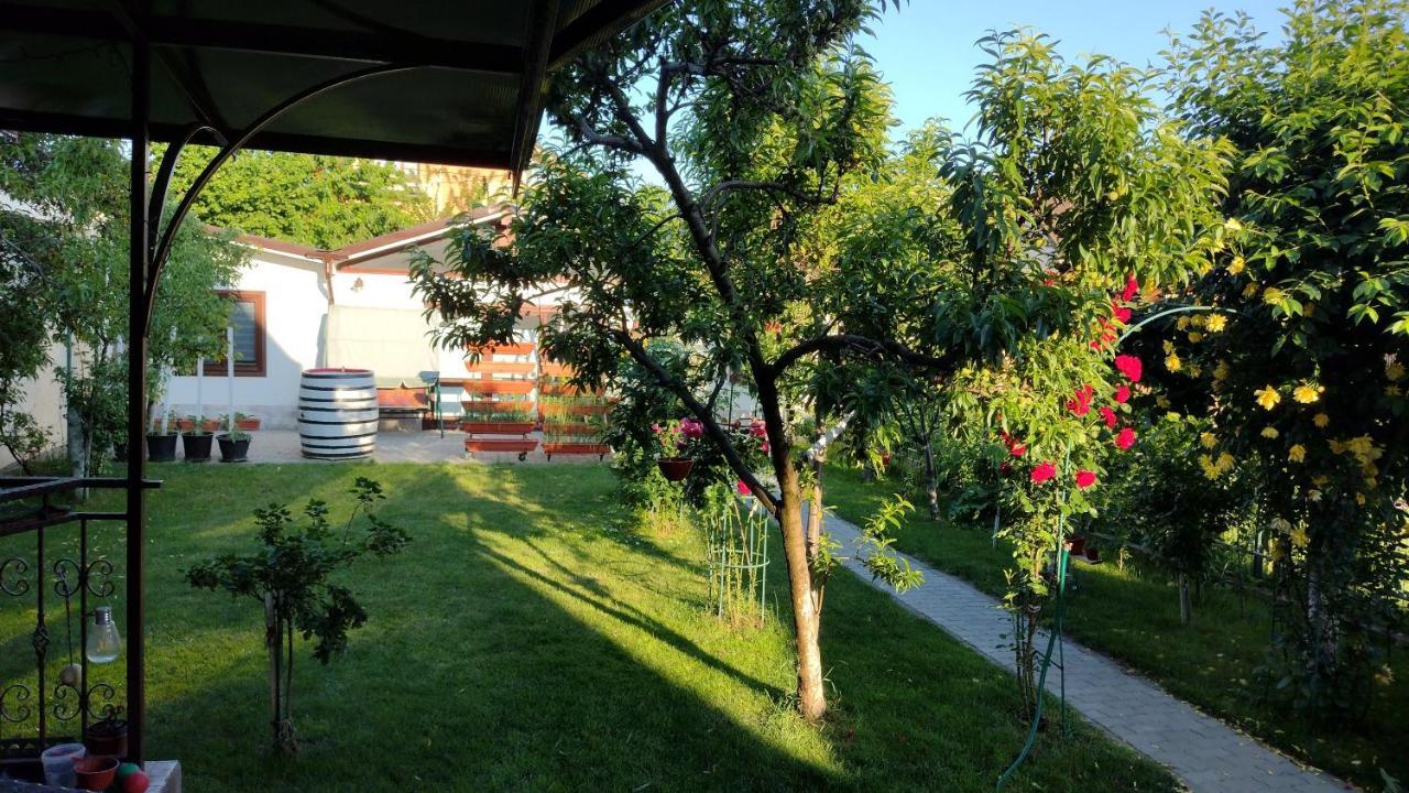 Privatunterkunft Casa Ienciu